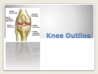 Knee Outline