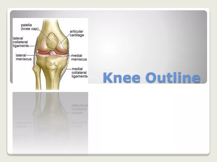 knee outline