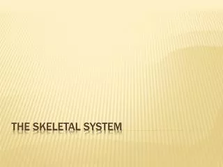 THE SKELETAL SYSTEM