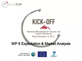 WP 6 Exploitation &amp; Market Analysis