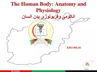 the human body anatomy and physiology