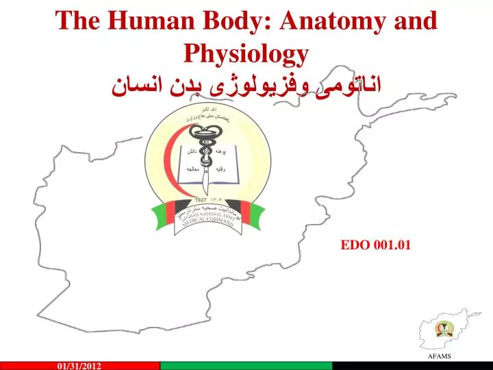 the human body anatomy and physiology