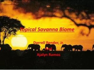 Topical Savanna Biome