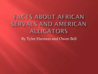 facts about African servals and American alligators