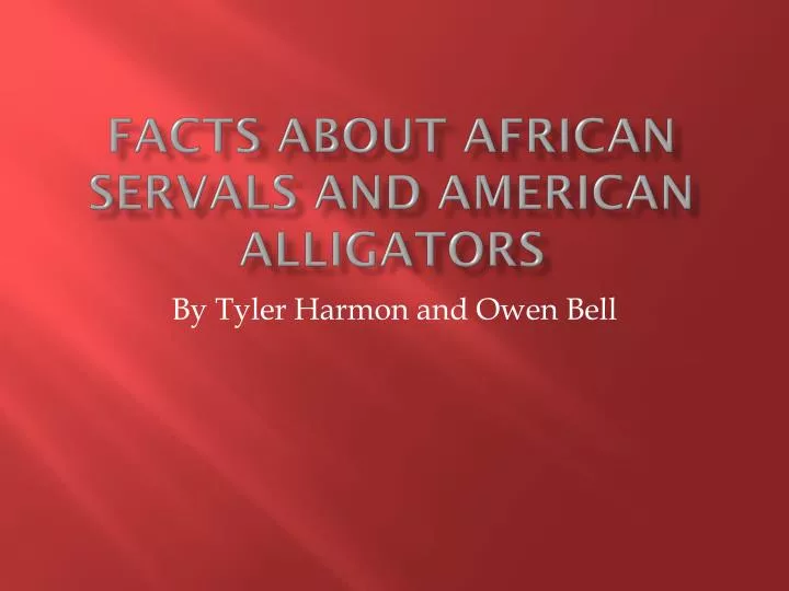 facts about african servals and american alligators