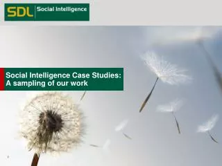 Social Intelligence Case Studies: A sampling of our work