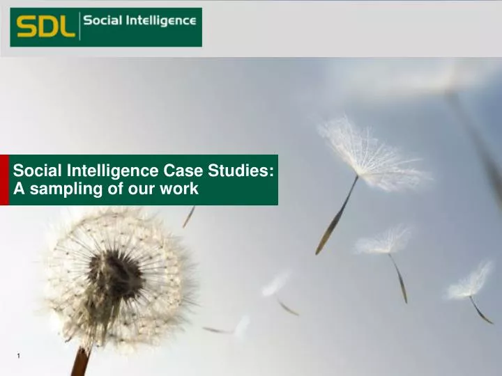 social intelligence case studies a sampling of our work