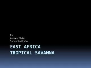 East africa Tropical Savanna