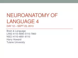 Neuroanatomy of language 4 DAY 12 – Sept 23, 2013