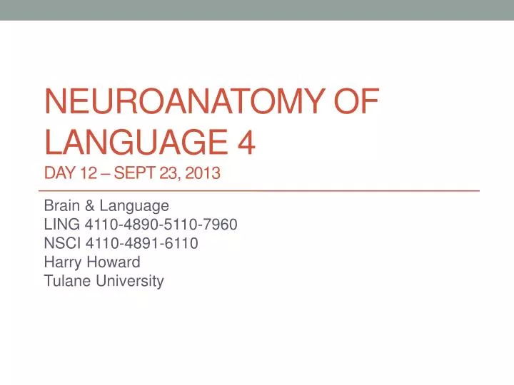 neuroanatomy of language 4 day 12 sept 23 2013