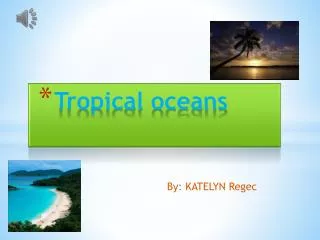 Tropical oceans