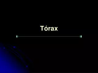 t rax