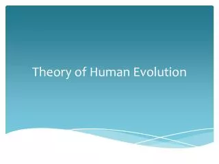 Theory of Human Evolution