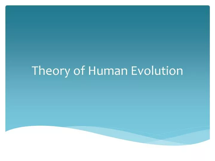 theory of human evolution