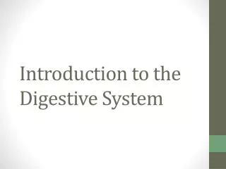 Introduction to the Digestive System