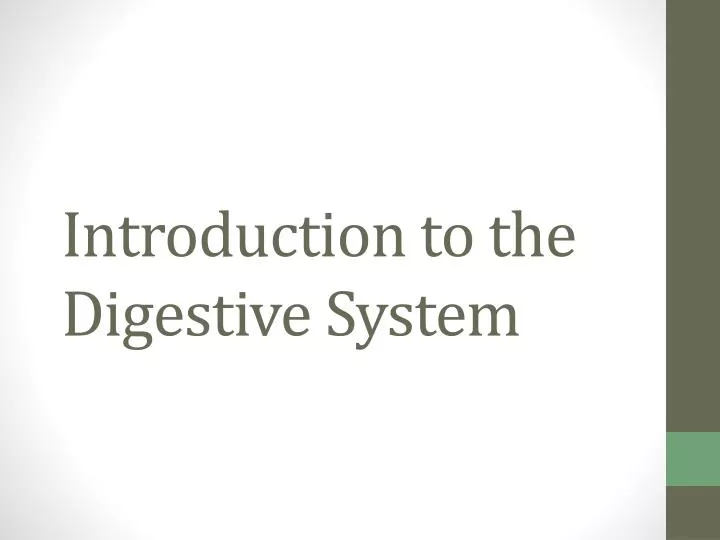 introduction to the digestive system