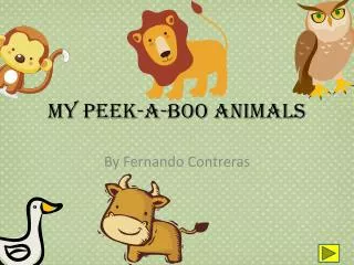 My Peek-A-Boo Animals