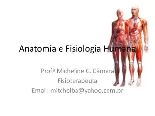 anatomia e fisiologia humana