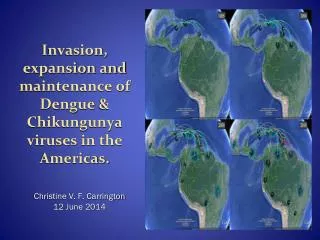 Invasion, expansion and maintenance of Dengue &amp; Chikungunya viruses in the Americas.