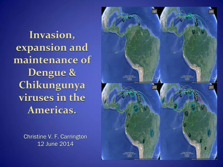 invasion expansion and maintenance of dengue chikungunya viruses in the americas