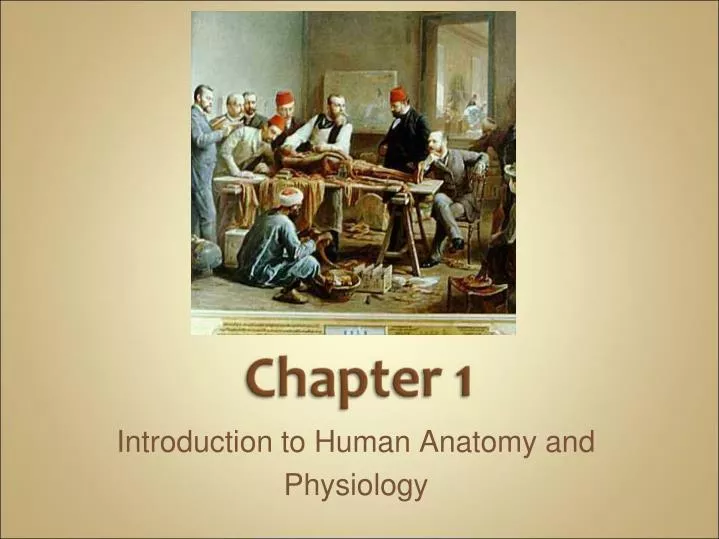 introduction to human anatomy and physiology