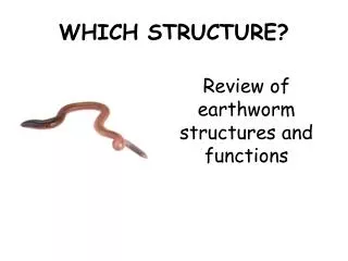 WHICH STRUCTURE?