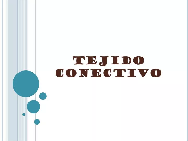 tejido conectivo