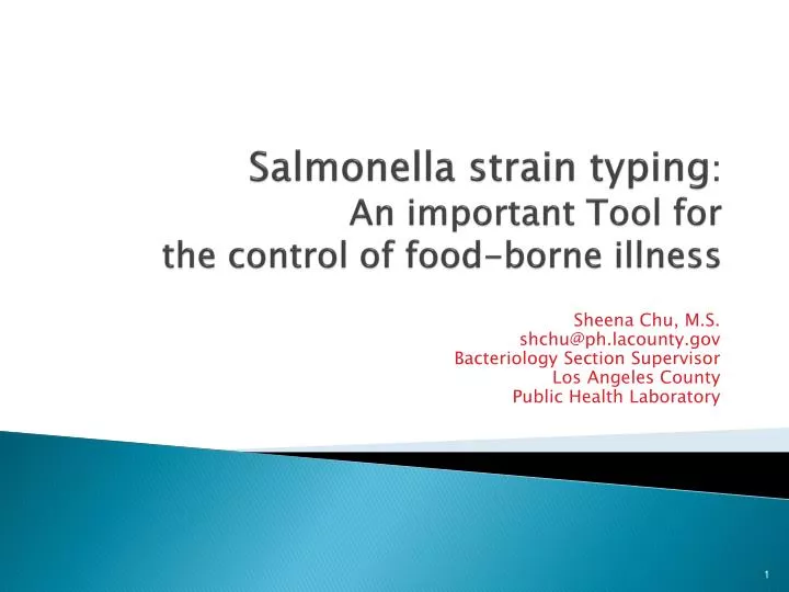 salmonella strain typing an important tool for the control of food borne illness