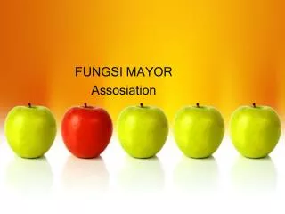 FUNGSI MAYOR Assosiation