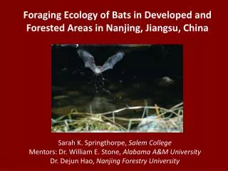 Foraging Ecology of Bats in Developed and Forested Areas in Nanjing, Jiangsu, China