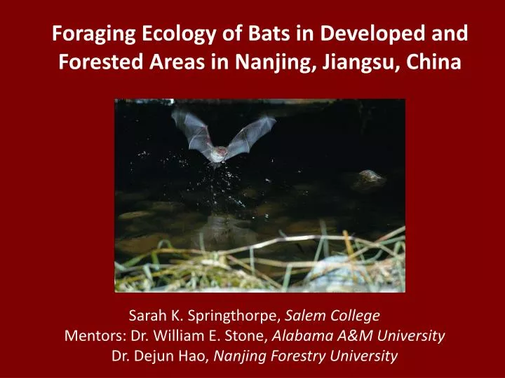foraging ecology of bats in developed and forested areas in nanjing jiangsu china