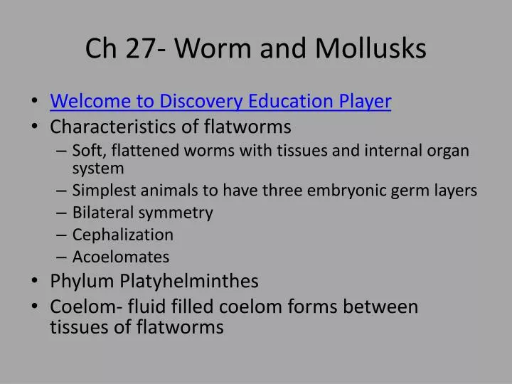 ch 27 worm and mollusks