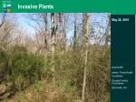 Invasive Plants - slide 1