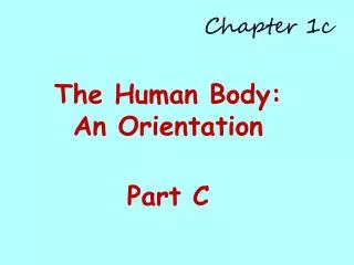 chapter 1c
