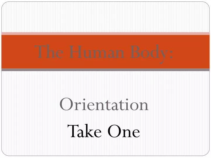 the human body orientation take one
