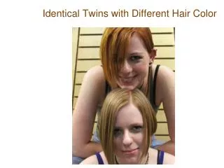 Identical Twins with Different Hair Color