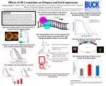Impact of IFH1 Mutations on Yeast Lifespan and GCN4 Expression - slide 1