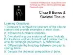 Chap 6 Bones &amp; Skeletal Tissue - slide 1