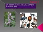 Tema 1 - slide 1