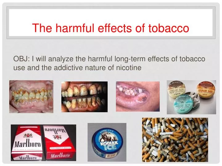 the harmful effects of tobacco