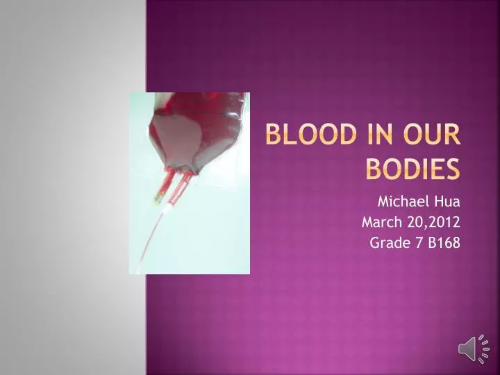 blood in our bodies