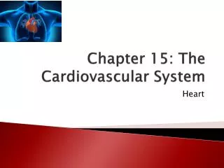 Chapter 15: The Cardiovascular System