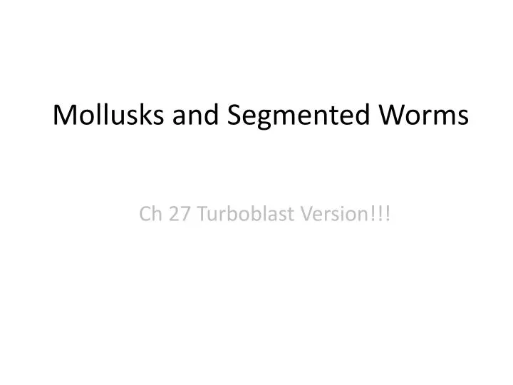 mollusks and segmented worms