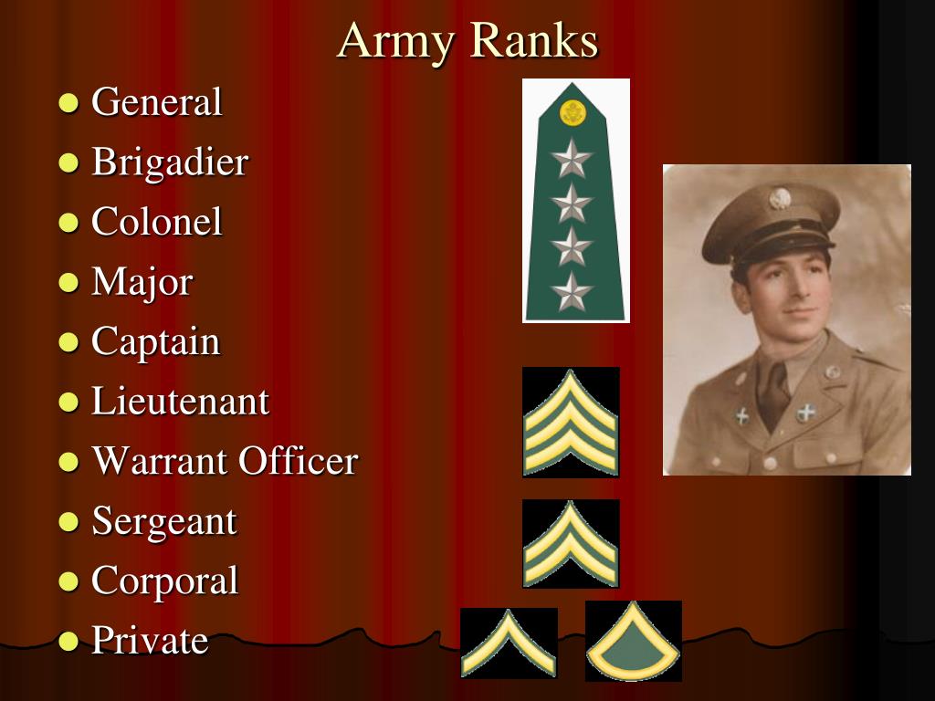 PPT - Army Ranks PowerPoint Presentation, free download - ID:2361515