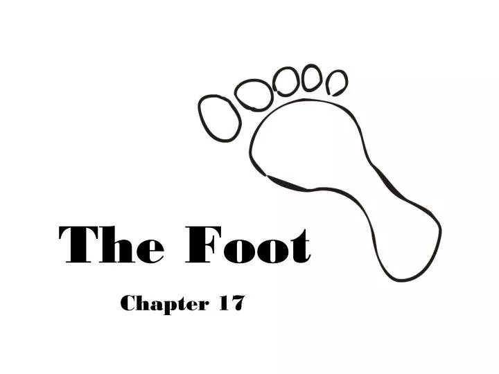 the foot