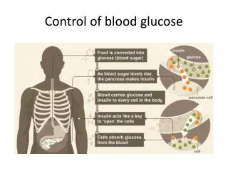 Control of blood glucose