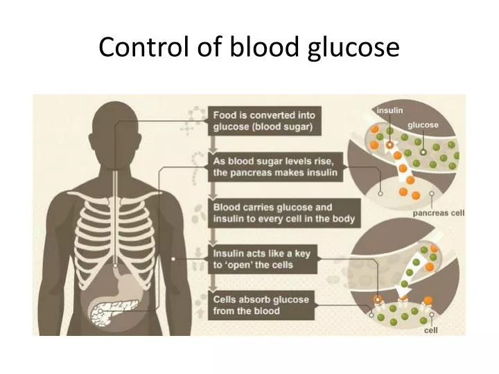 control of blood glucose