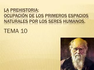 tema 10