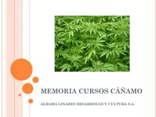 memoria cursos c amo