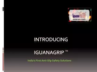 Introducing Iguanagrip tm